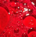 /album/photo-gallery-macro-photography/bubble-red-1-jpg/